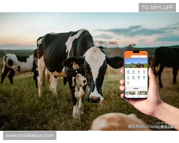 开云真人登录页面优化升级，提升用户体验更便捷安全