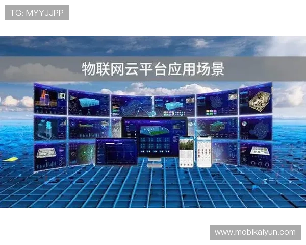 开云平台介绍：全面解析其核心功能与行业应用前景