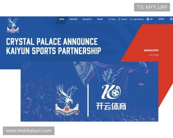 开云体育app入口官网安全可靠，详细说明官方入口的访问方式和常见问题解决方案